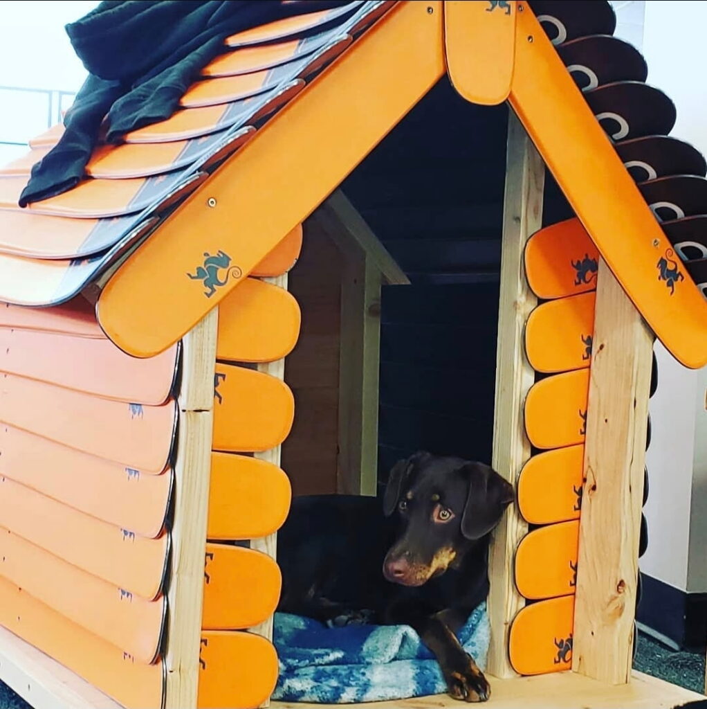 Dog house from recycled skis by Jackson's Base Camp